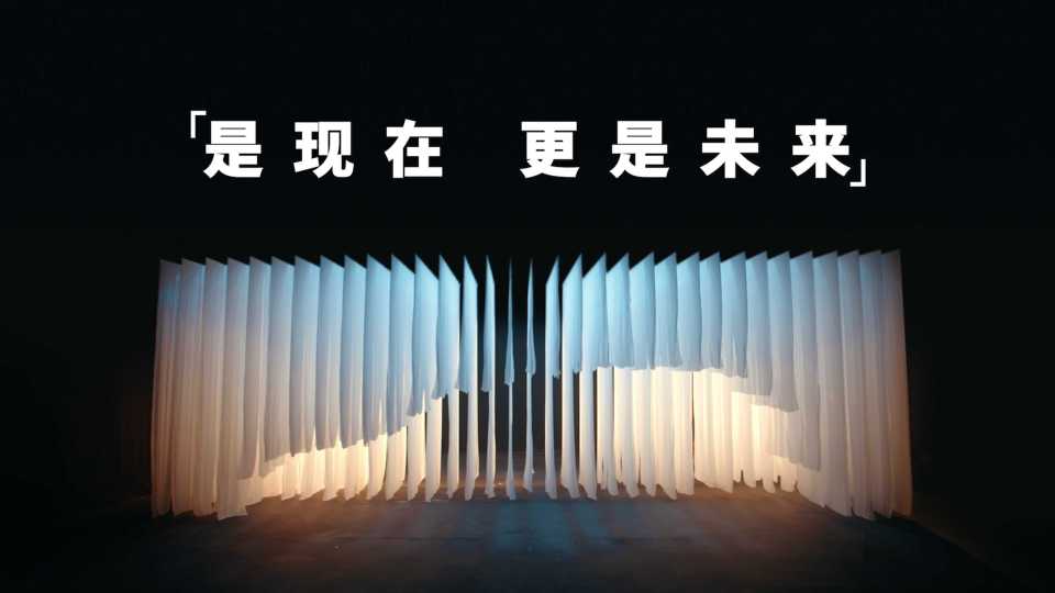 地平线丨深度智驾用户都在想什么？ 封面