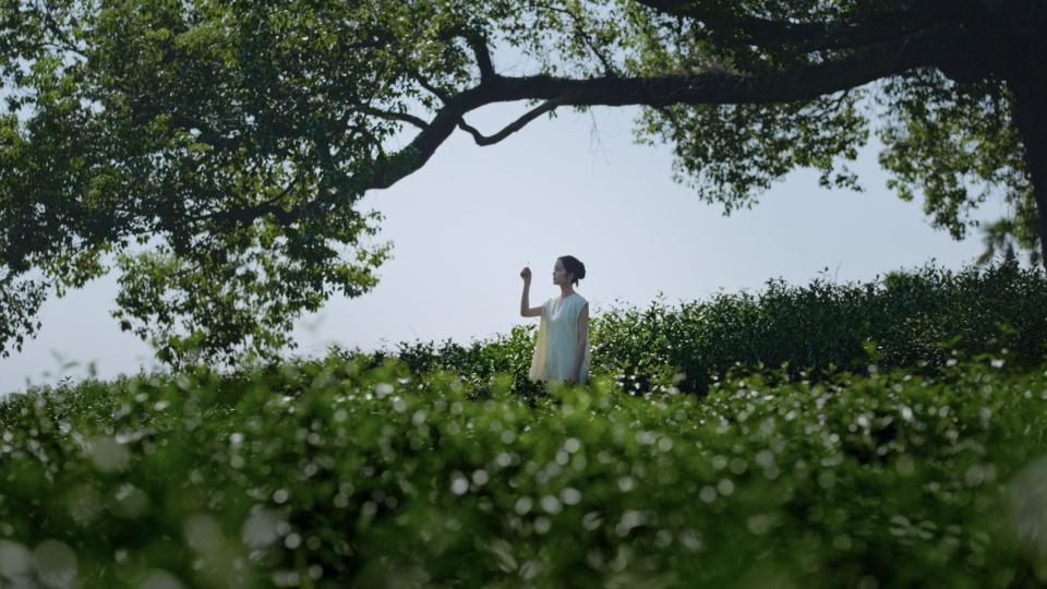 西湖龙井茶宣传片｜《一叶国饮，千年好茶》 封面